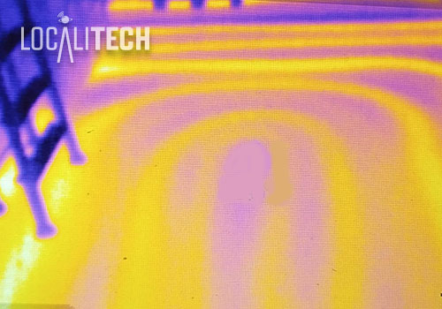 relevé auscultation de structure